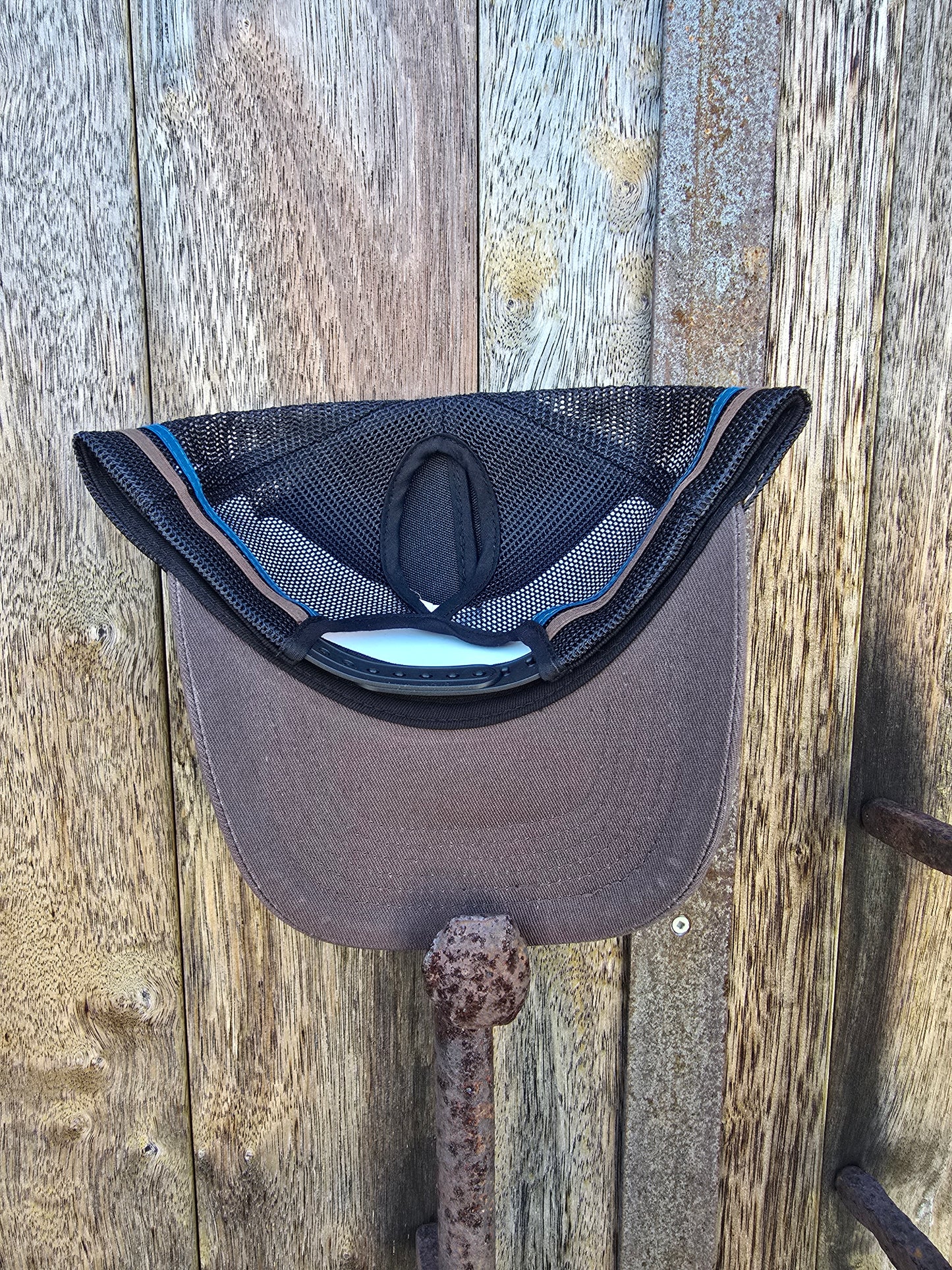Brown with blue/Brown stripe (ponytail)