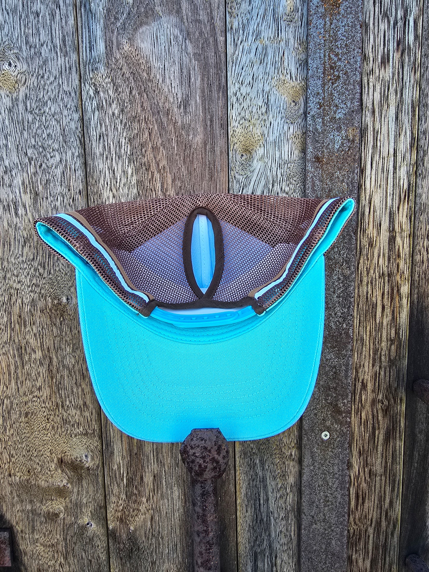 Teal on brown (ponytail)