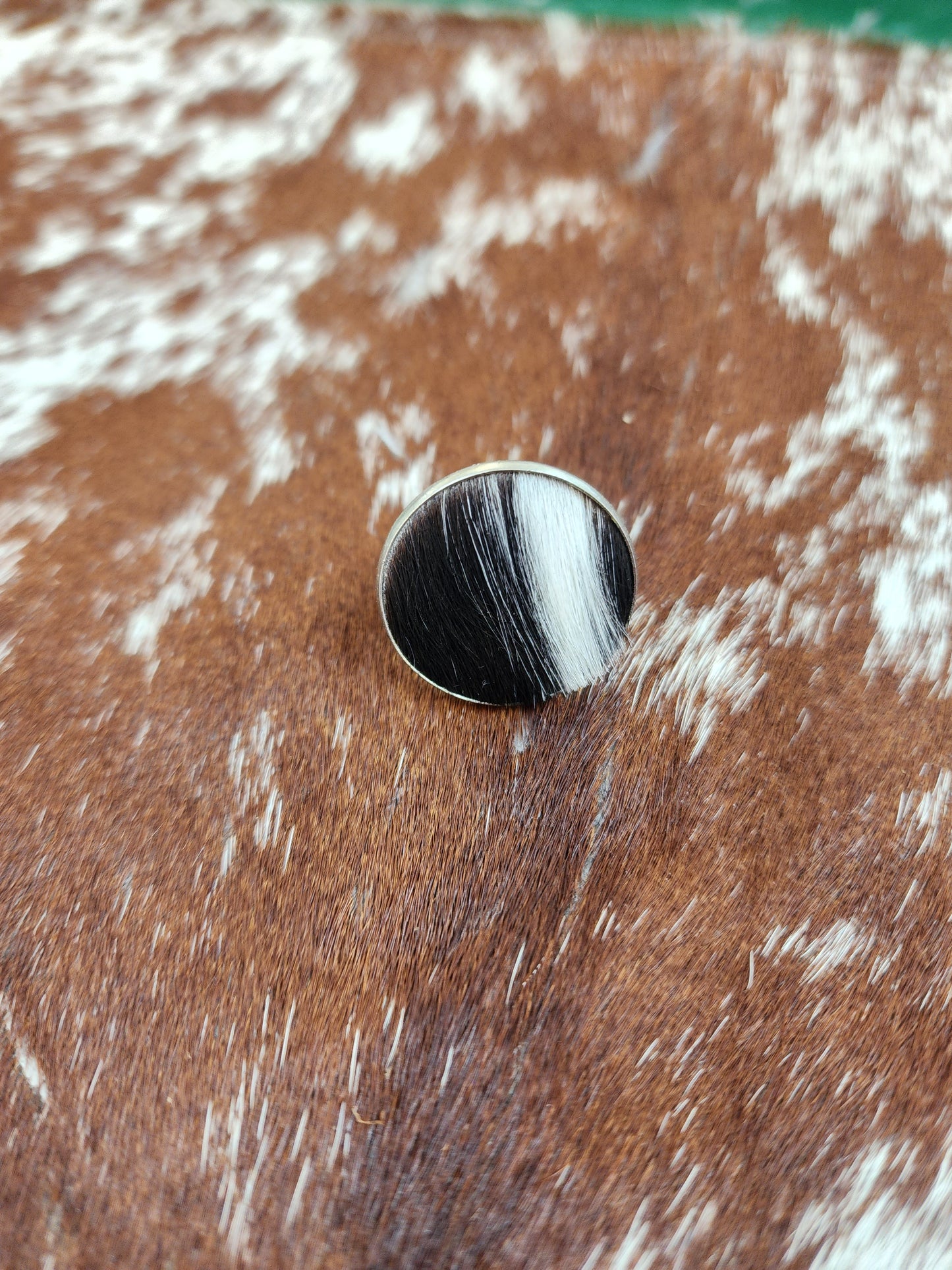 Black an white hair on hide ring .