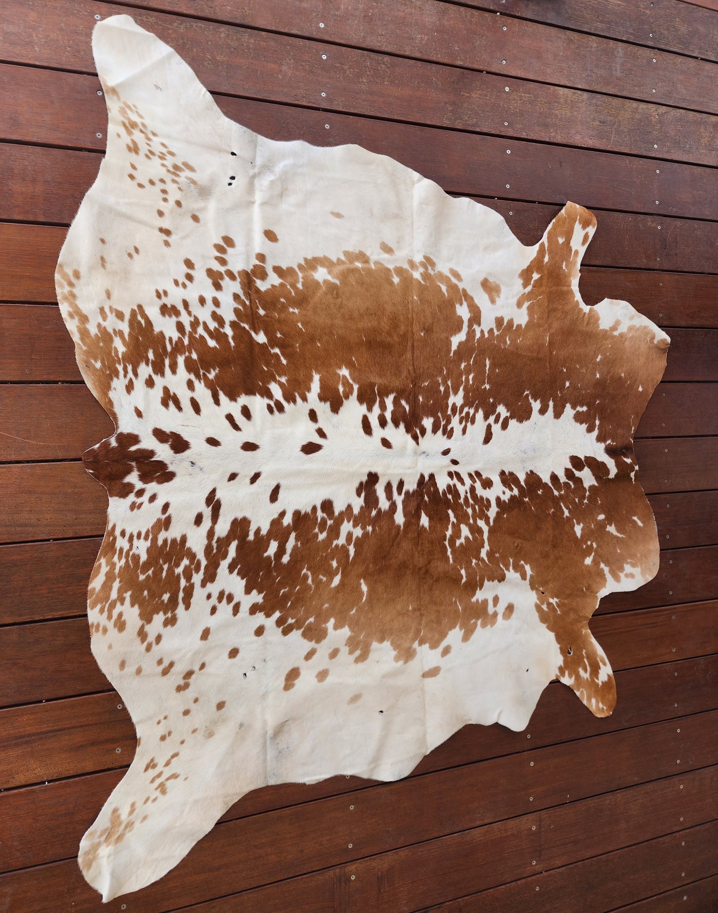 Cowhide floor rug- B05