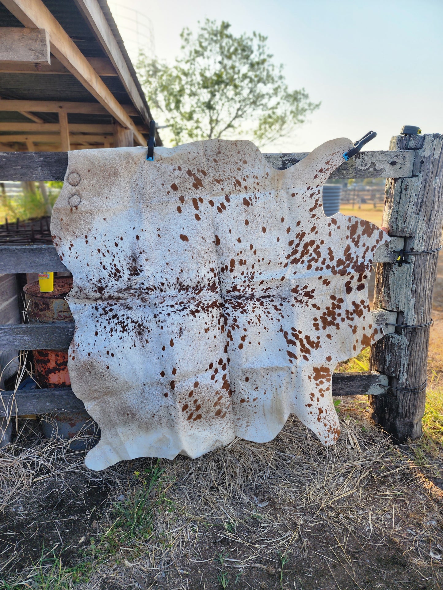 Cowhide floor rug- A14