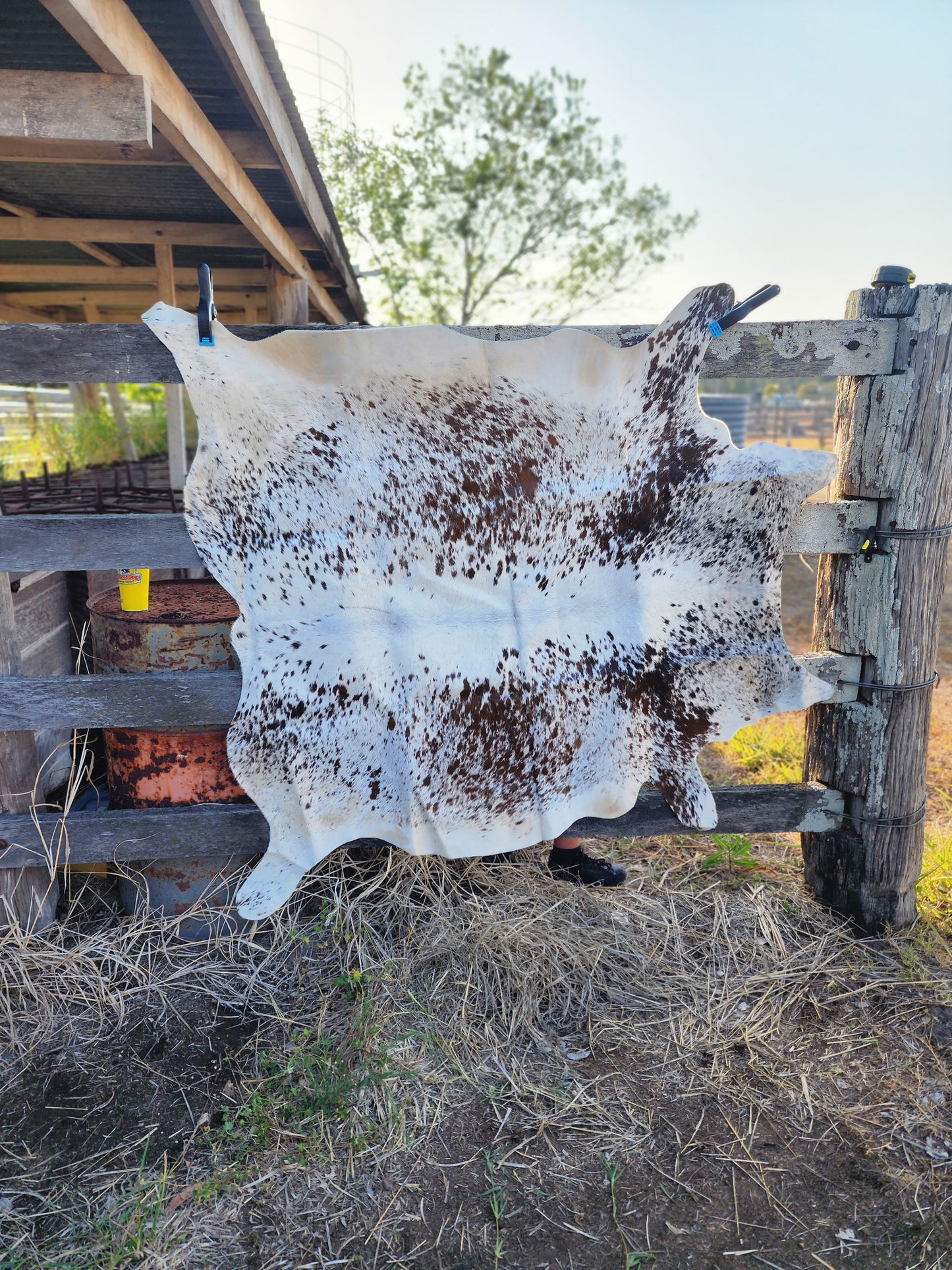 Cowhide floor rug- A15