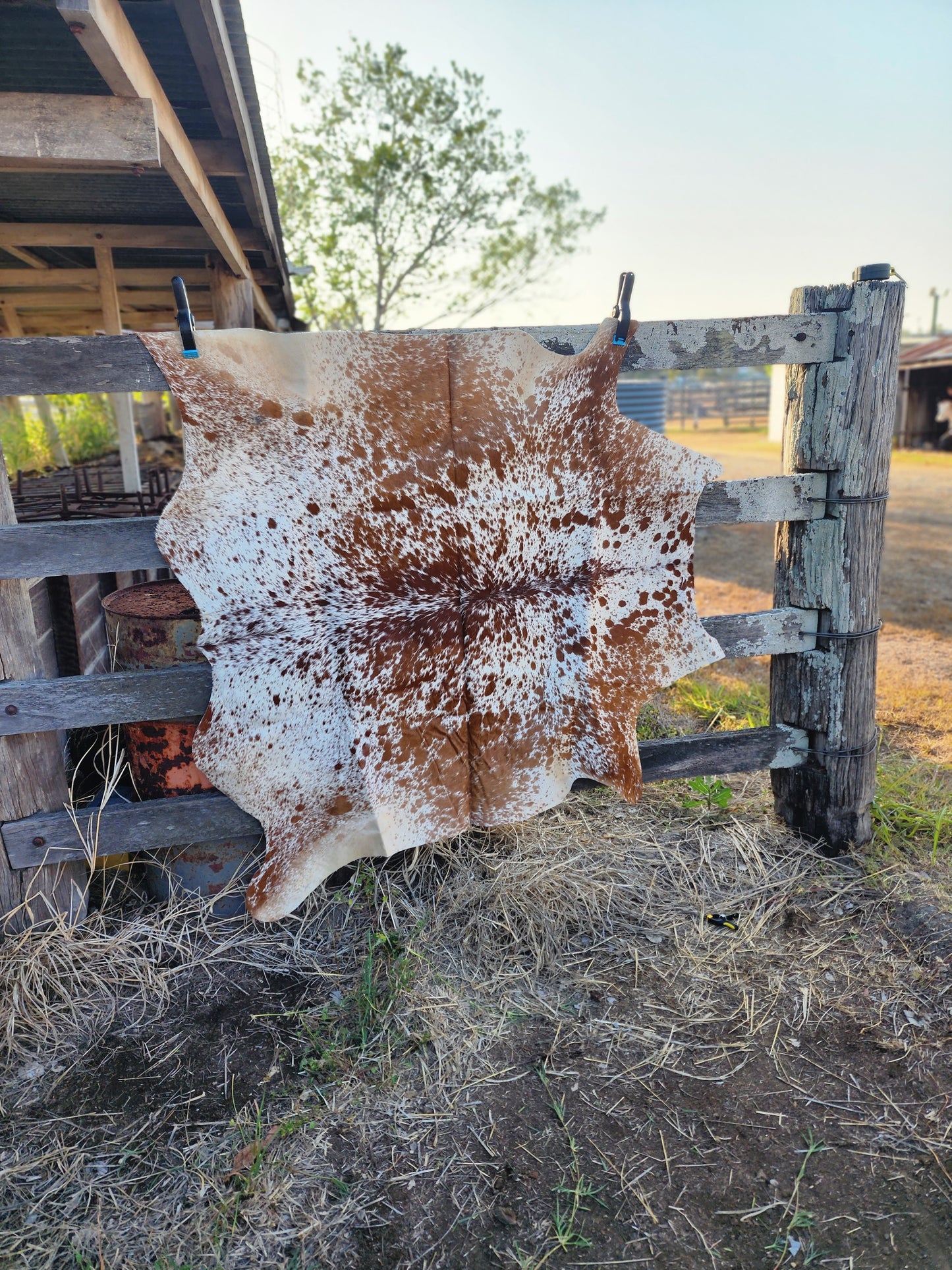 Cowhide floor rug- A19