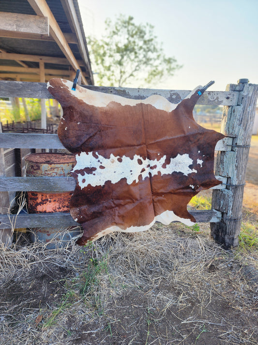 Cowhide floor rug- A20