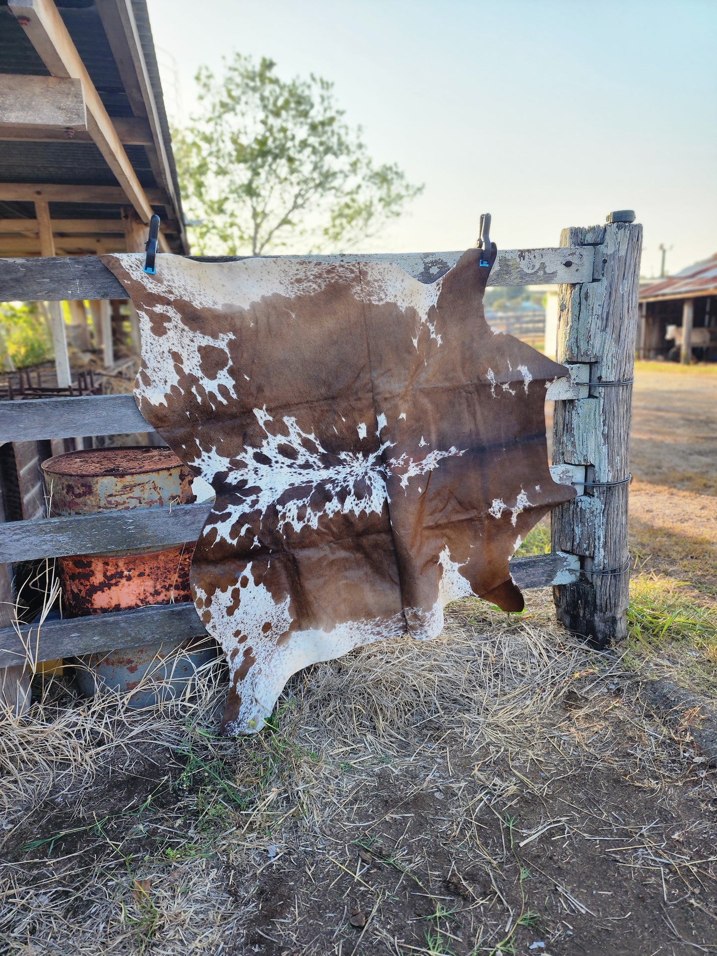 Cowhide floor rug- A22