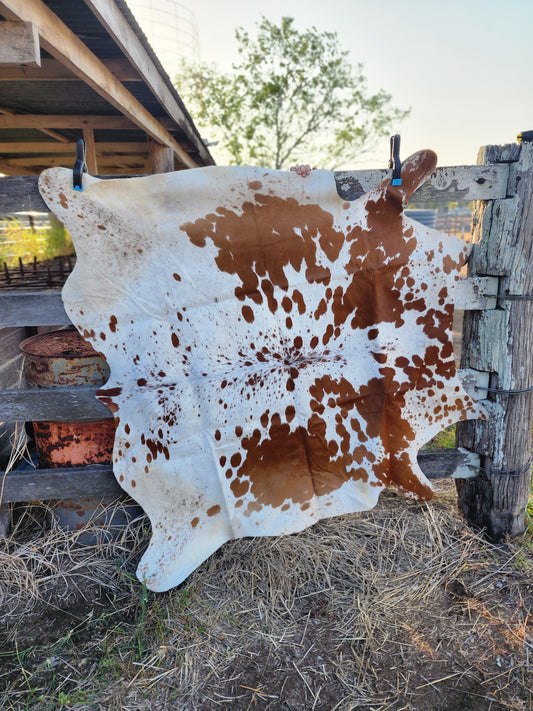 Cowhide floor rug- A23