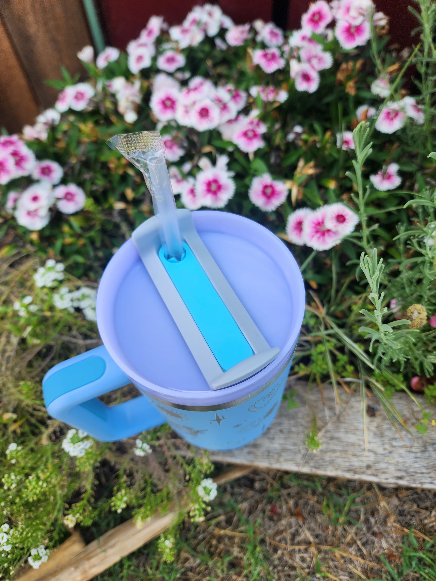 40oz Highland cow cactus travel mug - sky blue