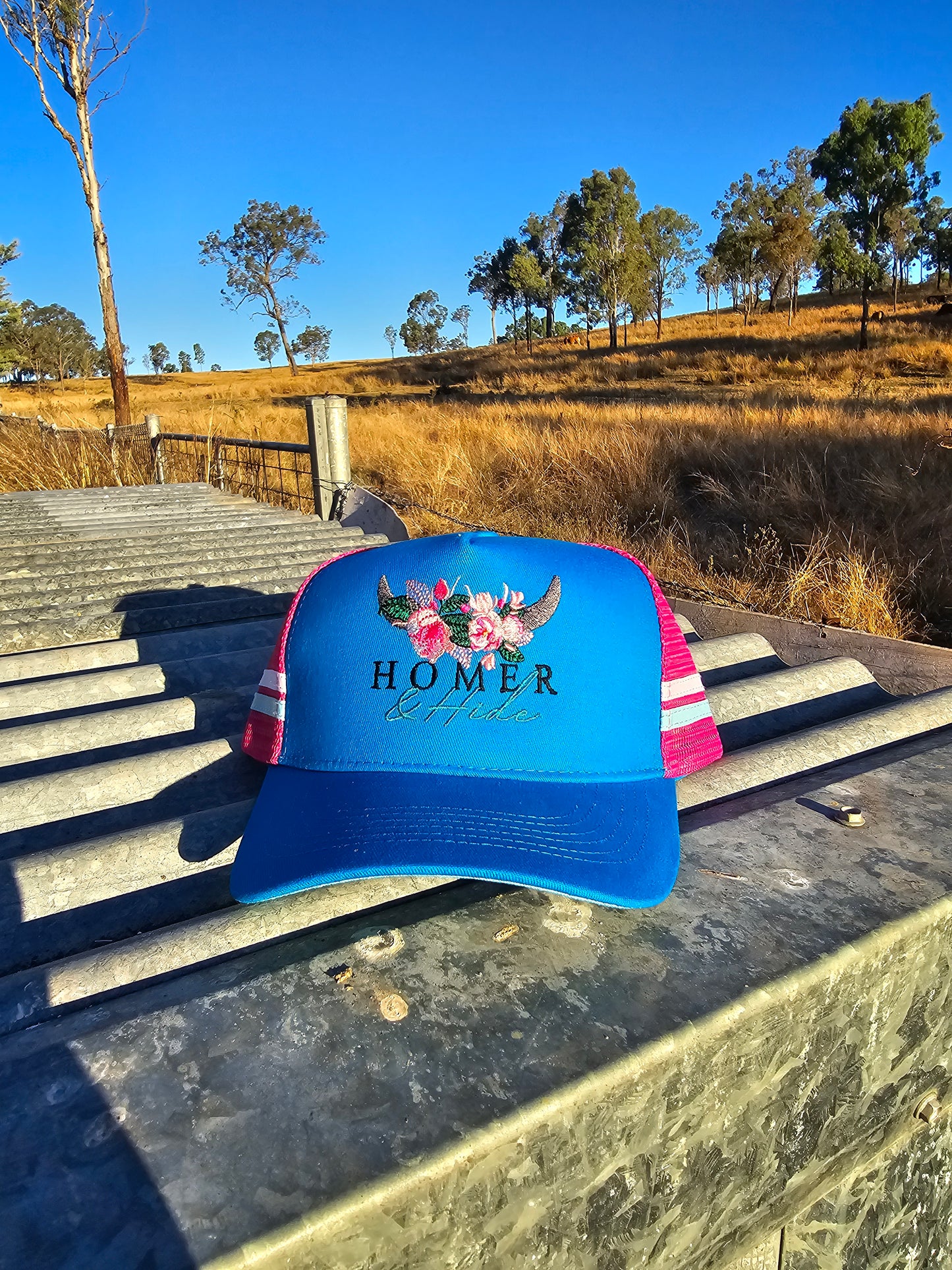 Blue on pink pony cap (embroiderd)