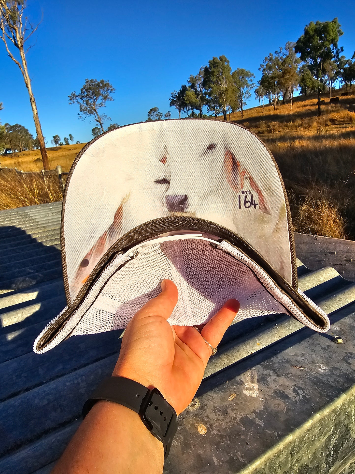 Dark grey, brahman under brim (Patch)