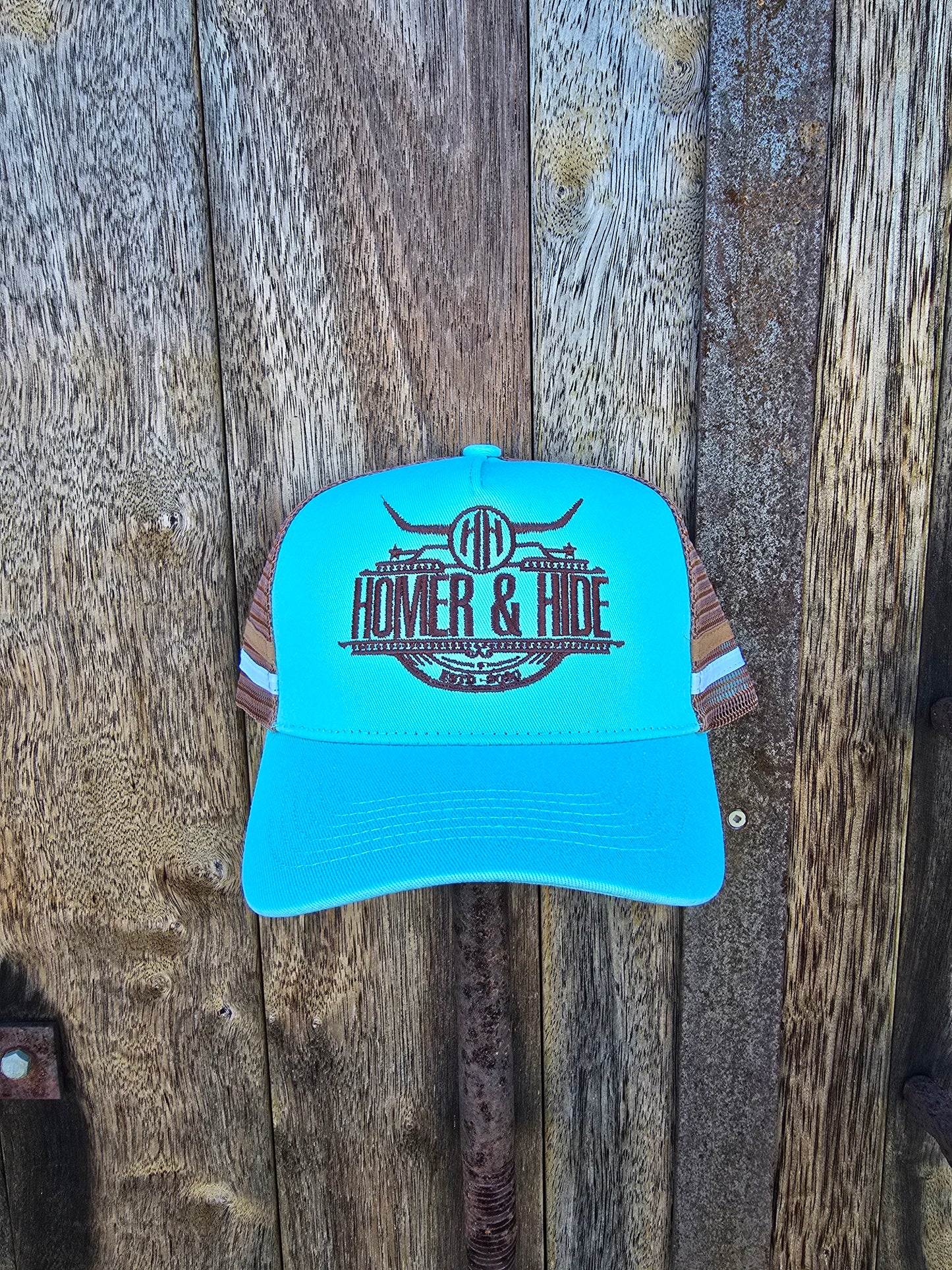 Teal on brown (ponytail)