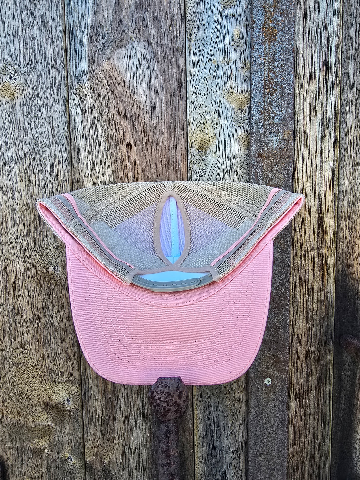 Pink on stone (ponytail)