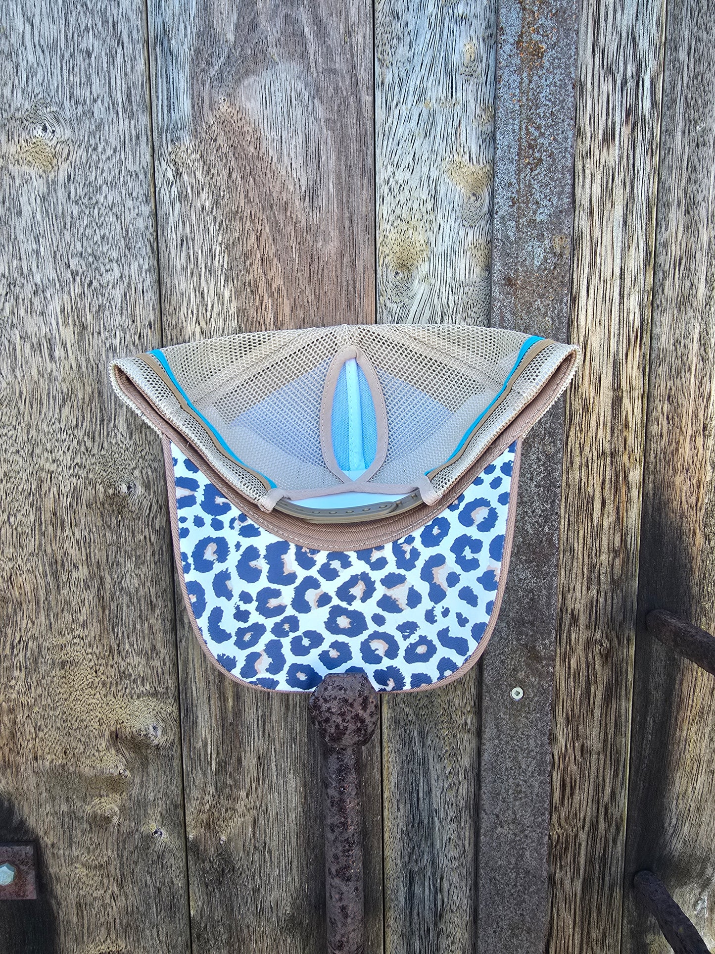 Blue brown with leopard print under brim (ponytail)