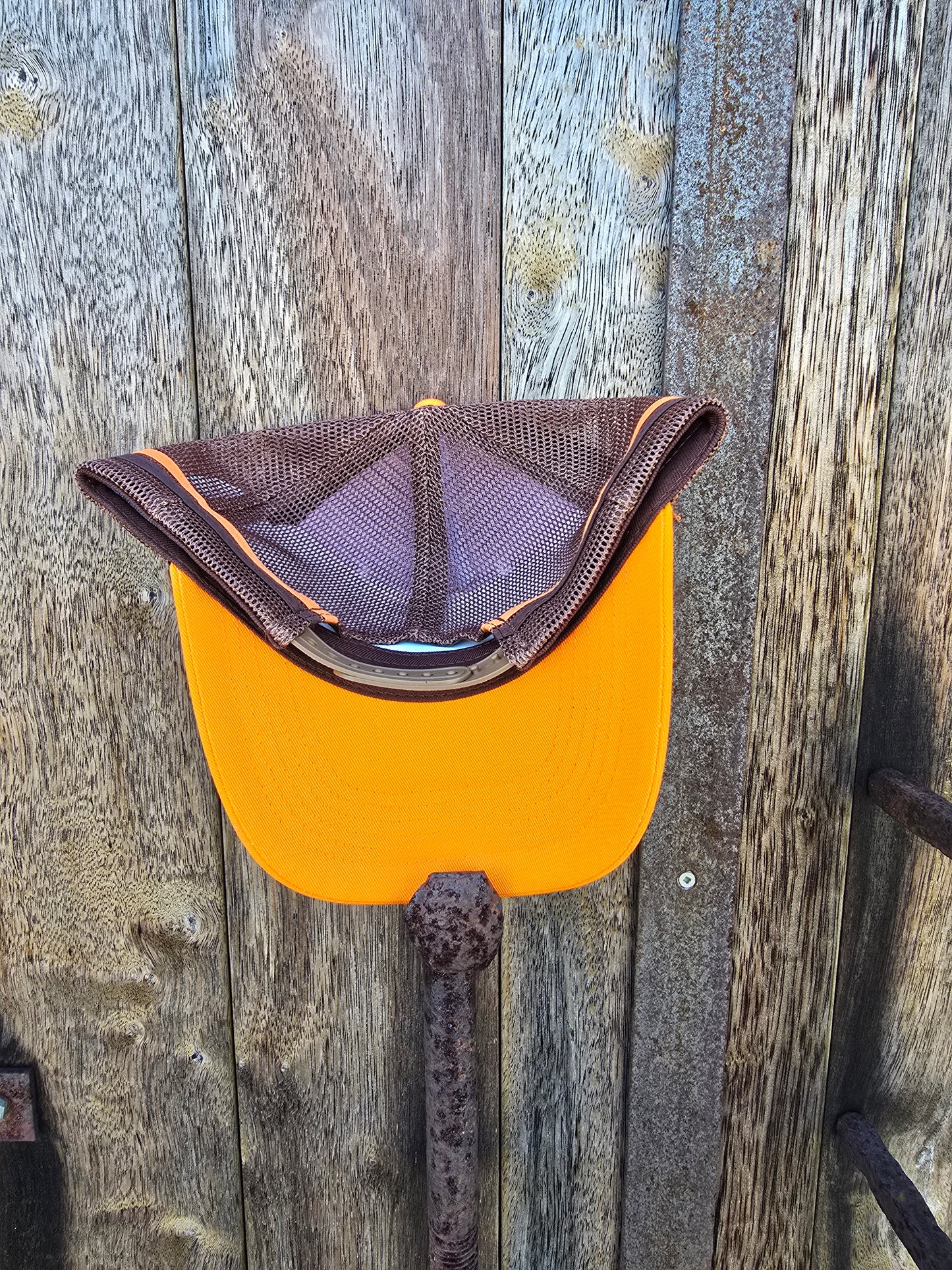 Orange on brown