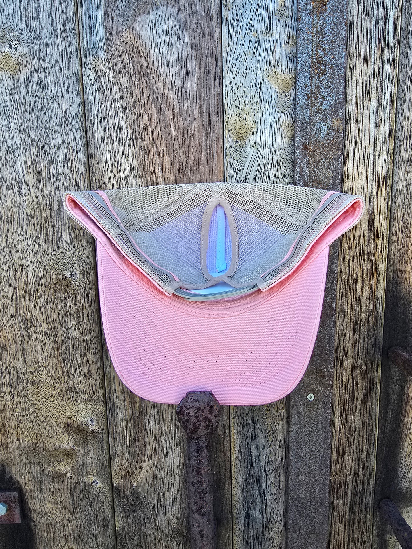 Pink on stone (ponytail)