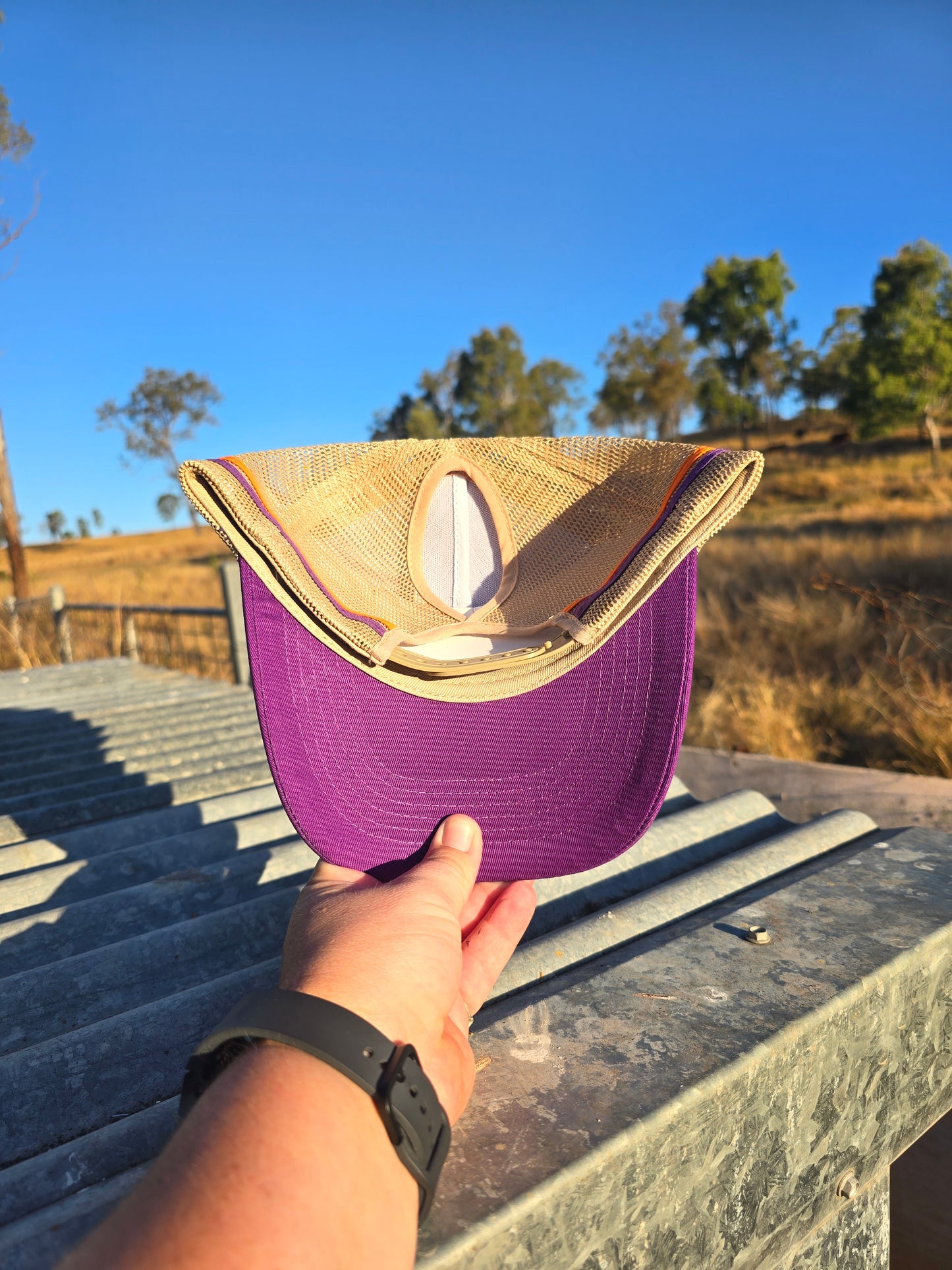 Purple on stone pony cap (embroiderd)