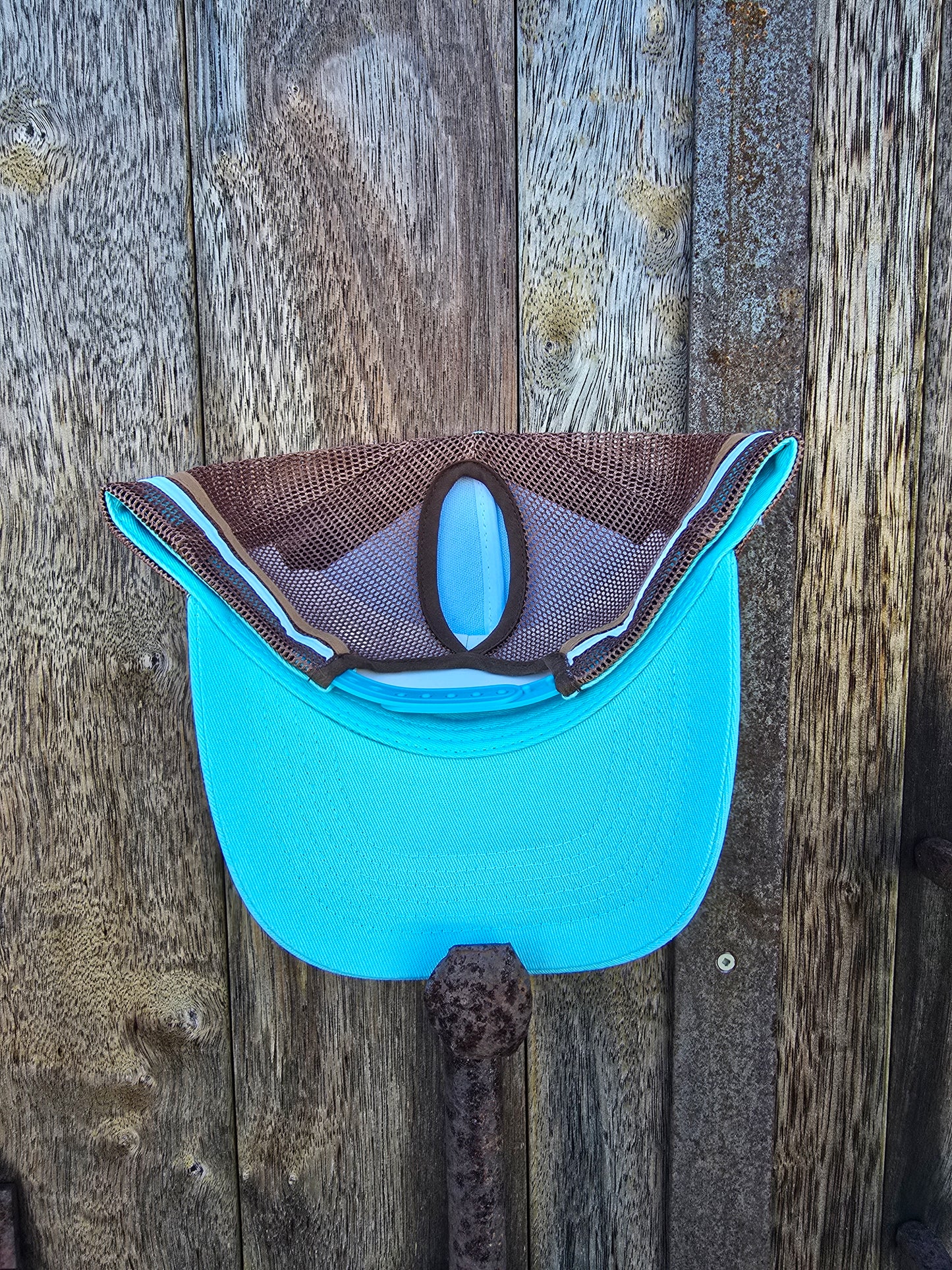 Light blue on brown (ponytail)